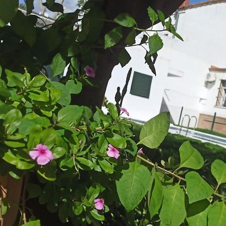 발렌시나데라콘셉시온 Casa Turquesa 빌라 외부 사진